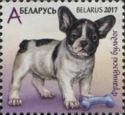 French Bulldog (Canis lupus familiaris)