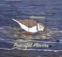 Peaceful Plovers