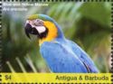 Blue-and-yellow Macaw (Ara ararauna)