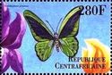 Common Green Birdwing (Ornithoptera priamus)