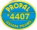 Propal #4407