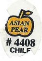 Asian Pear #4408