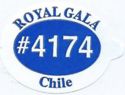 Royal Gala #4174
