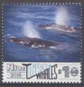 Humpback Whales