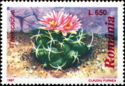 Thelocactus sp.