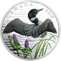 10 Dollars (Common Loon: Beauty and Grace)