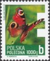 European Peacock (Inachis io)
