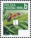Red Wood Ant (Formica rufa)