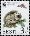Siberian Flying Squirrel (Pteromys volans)
