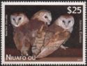 Barn owl (Tyto alba)