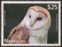 Barn owl (Tyto alba)