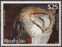 Barn owl (Tyto alba)