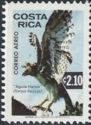 Harpy Eagle (Harpia Harpyja)