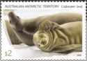 Two Crabeater Seals (Lobodon carcinophagus)