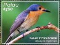 Palau Flycatcher (Myiagra erythrops)