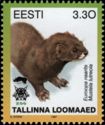 European Mink (Mustela lutreola)