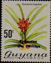 "Protecting Our Heritage" on 50c Guzmania lingulata