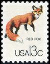 Red Fox (Vulpes vulpes)