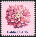Dahlia