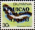 Nymphhidium mantus overprinted KPM/ICAO Mont Golfier