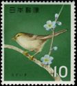 Japanese Bush Warbler (Horornis diphone)