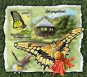 Butterflies - Troides helena