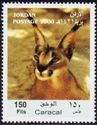 Caracal (Caracal caracal)
