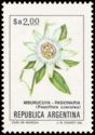 Mburucuyá (Passiflora coerulea) - Fluo
