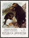 Macaroni Penguin (Eudyptes chrysolophus)