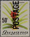 Guzmania lingulata overprinted "POSTAGE"