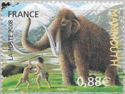 Wooly Mammoth (Mammuthus primigenius)