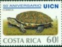 Trachemys scripta