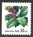 American Holly