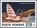 Brackish Water Snail (Semisalsa dobrogica)