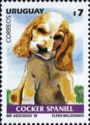 Cocker Spaniel (Canis lupus familiaris)