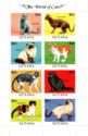 8 Different Cat Breeds
