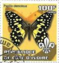 Papilio demoleus