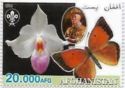 Orchids & Butterflies