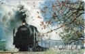 Steam Locomotive C 11 227 - Oigawa Rail Way