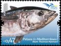 Thunnus thynnus