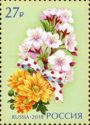 Chrysanthemum and Cherry Blossom