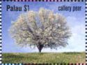 Callery Pear (Pyrus calleryana)