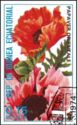 Oriental Poppy (Papaver orientale)