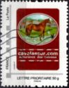 Cavalassur Horse Insurance