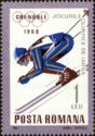 Skiing Downhill Race