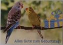 Alles Gute zum Geburtstag!