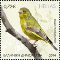 European Greenfinch (Carduelis chloris)
