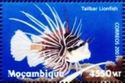 Tailbar Lionfish (Pterois radiata)