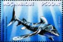 Oceanic Whitetip Shark (Carcharhinus longimanus)