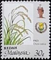 Agricultural Products- Oryza sativa